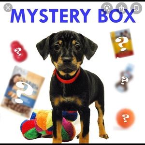 Mystery small dog toy and accessories box